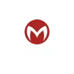 ft-mav